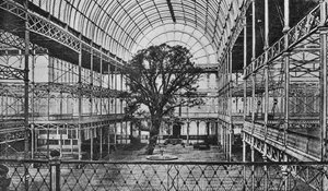Interior del Palacio de Cristal de English Photographer